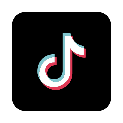 TikTok Icon